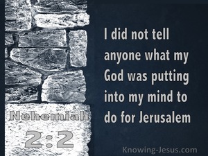 Nehemiah 2:12